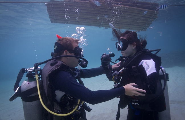 Monkey Flower Villas - Foto 55