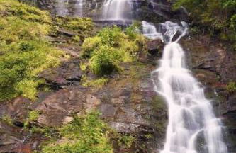 Wineries Hot-Tub Indoor Pool Fireplace Gym Huge Master Bedroom - Foto 69