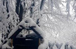 DOMEK LETNISKOWY MYSCÓWKA - Foto 38