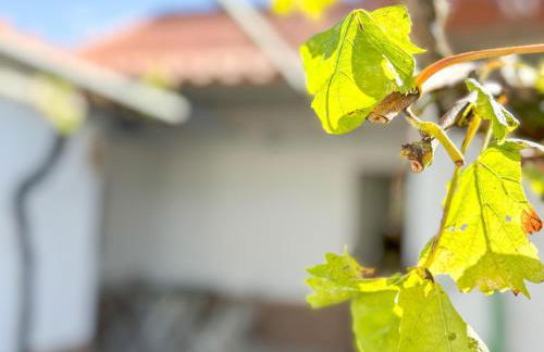 Casinha da Serra - Foto 28