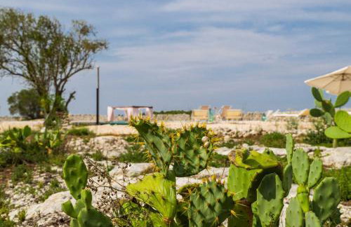 Masseria Murrieri Vecchio, Salento - Foto 25