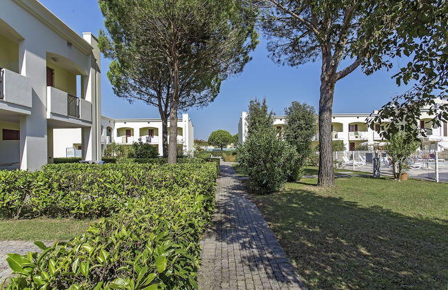 Calycanthus - Foto 52