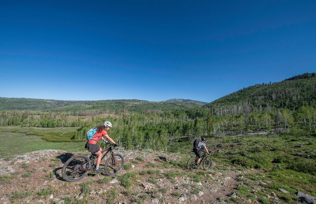 Vista Verde Ranch All-inclusive Cabin - Photo 44