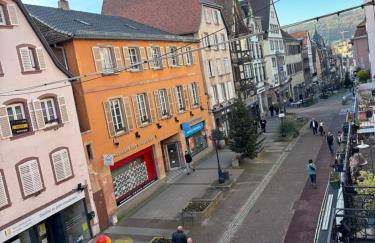 Évasion à Saverne - entre nature et douceur de vivre - Foto 11