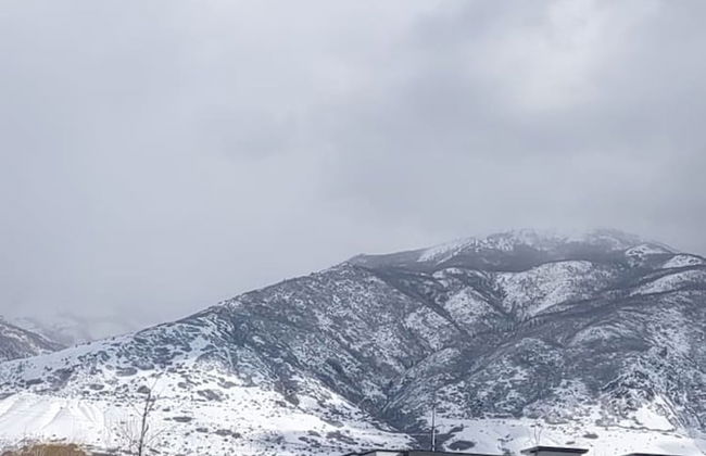 Farmington Gem 6BR Private Fenced Yard Sleeps 15 - Foto 36