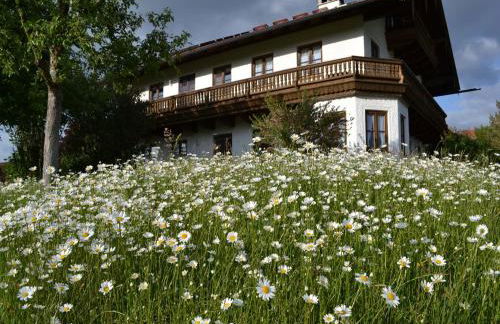 Pichler Roswitha - Foto 13