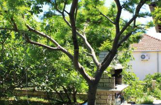 Villa Opatija - Photo 47