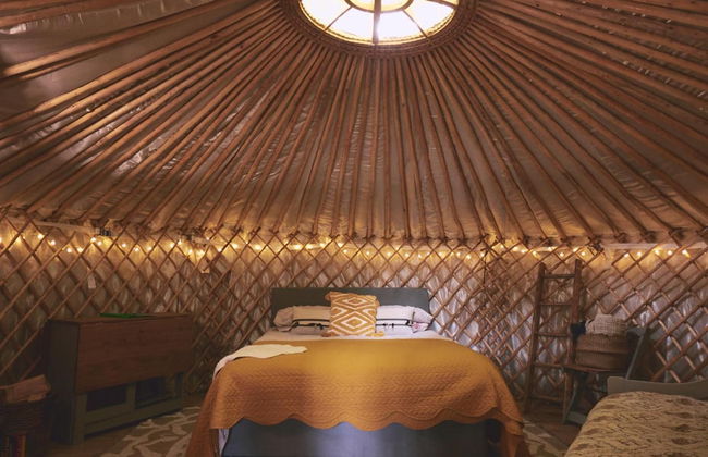 Mushroom Yurt set in 4 Acres of Woodland and Lakes - Foto 4