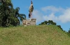 Rancho do andi - Foto 25