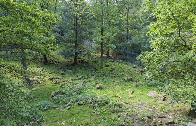 Holiday Home With Swimming Pool - Foto 4