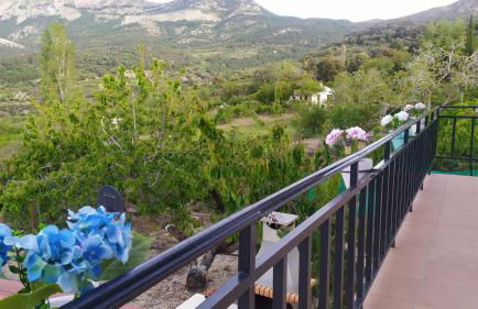 Los Cabales - Foto 23