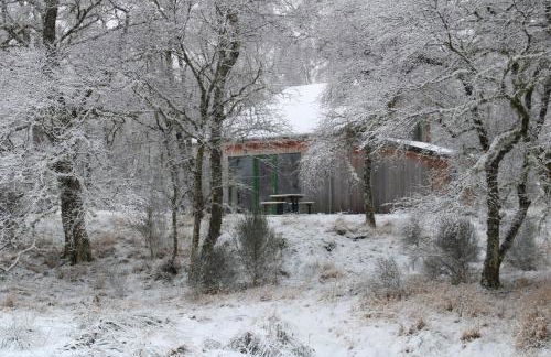 Betula Chalet – coast & country in the Highlands - Foto 27