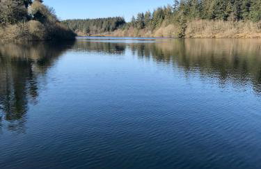 Characterful, Cosy Dartmoor Cottage - Foto 9