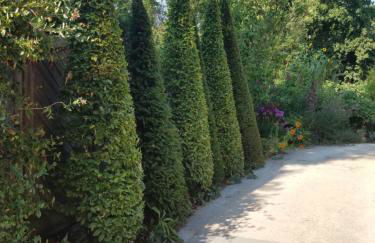 Webergarten - Foto 50