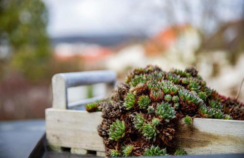 Laura‘s Heimat - Foto 11