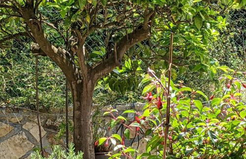 Casa Rural Bilbao Caserio Gondra Alquiler Habitaciones - Foto 116