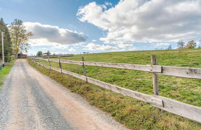 Nice Apartment in Allrode With Private Terrace - Photo 48