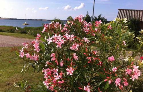 4 - Sterne Ferienhaus Am Brink - Foto 14