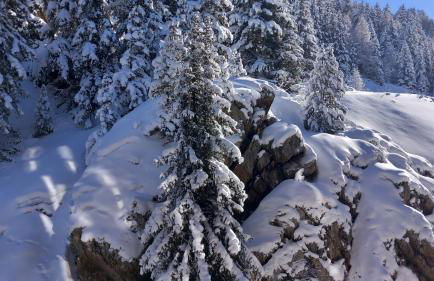 Plagne Bellecote Apartments - Foto 45