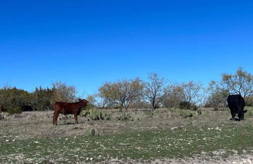 Dome Sweet Dome - Foto 28