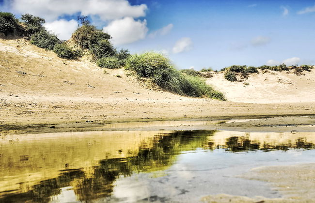 3 bedroom House in Noordwijk with garden and terrace - Photo 12