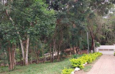 Chácara Sonia & Mineiro - Foto 14