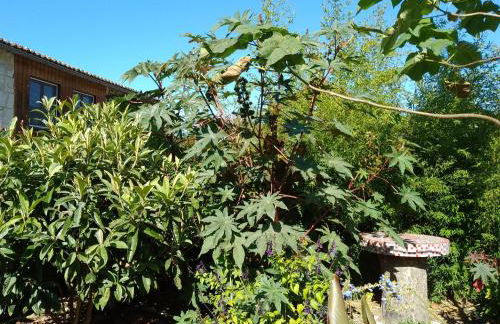 La Maison Tumtum Arbre - Foto 46