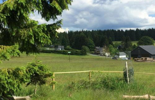 Tiny Chalet Stuga Am Rennsteig mit Kamin und Garten, Hunde Willkommen - Foto 15