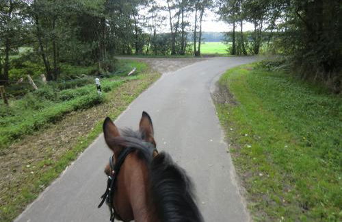 Reit- und Bauernhof Klaucke - Foto 6