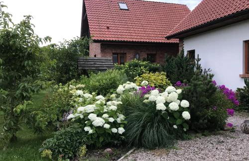 Dom Gościnny nad Śniardwami w Niedźwiedzim Rogu - Foto 1