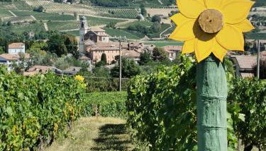 Agriturismo Mondo - Foto 2