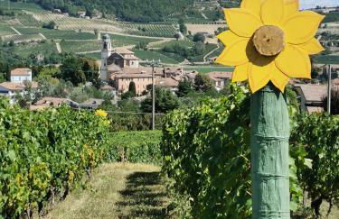 Agriturismo Mondo - Foto 2