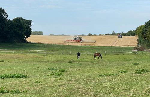 Refugium in Ostseenähe - Foto 27