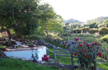 CASA DA VIZINHA, QUINTA DAS MEMÓRIAS - Photo 19