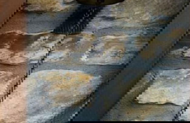 Agriturismo Azienda Agricola Bortolotti - Foto 44