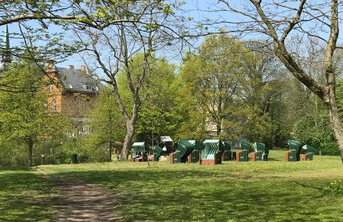 Strandläufer - Foto 36