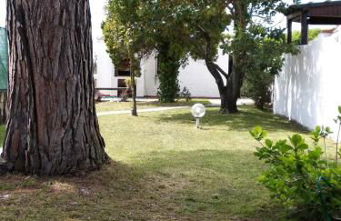 Alimede al Circeo - Foto 69