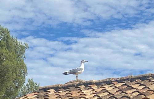 Rifugio Storico sul Mare - Foto 10
