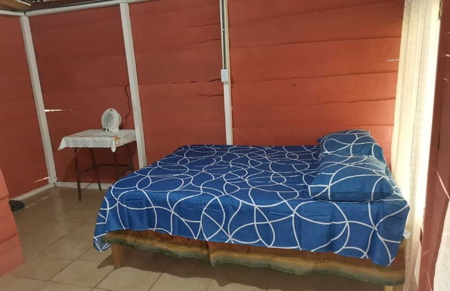 Millar de Aves - Foto 2