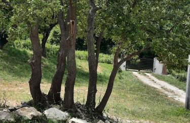 VILLA MILLEFIORI - Foto 9