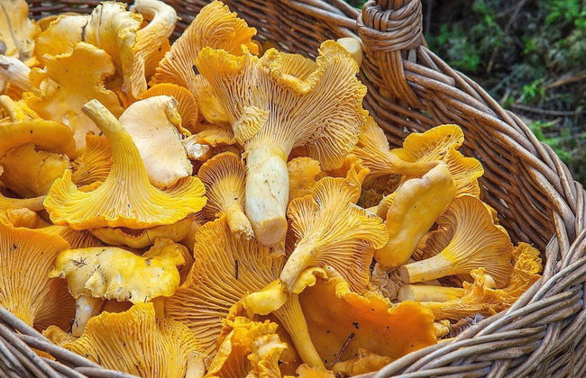 5 Person Holiday Home in Salen - Foto 6