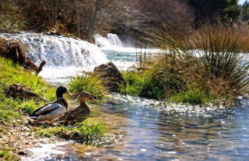 El Paraíso Del Rey - Foto 66