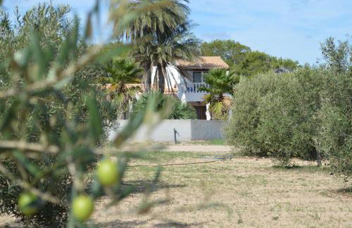 Es Pas Formentera Agroturismo - Foto 48