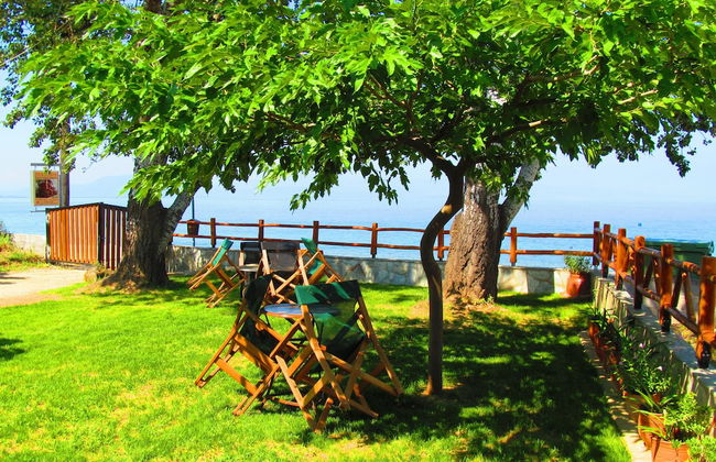 Pandora Studios - Foto 15