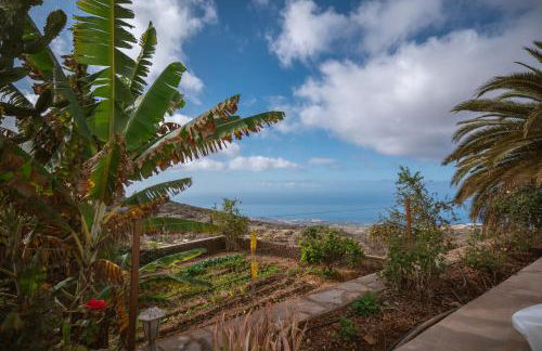 The Lemon Factory - Foto 33