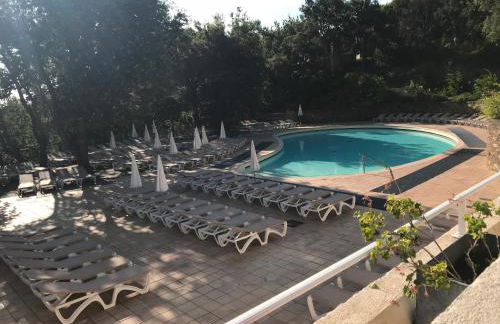 LES RESTANQUES DE SAINT-TROPEZ - Foto 16