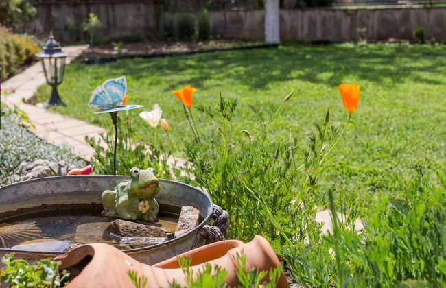 1 Bedroom Apartment in Dafinka Guest House - Photo 22