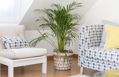 Apartamento boutique con terraza y vistas al mar. Porto Vilanova - Foto 9