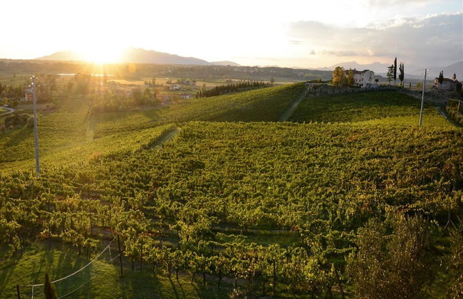 Belvilla by OYO Giaggiolo - Foto 39