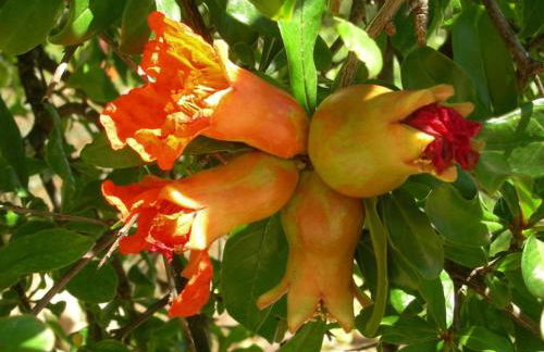 La Molina Del Olivar - Peaceful Location - Foto 21